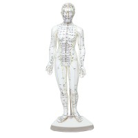 Modelo de corpo humano feminino 46 cm: 361 pontos de acupuntura e 80 pontos curiosos