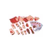 Equipa de simulação de lesões