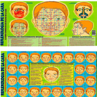 Lâmina Reflexología da cara A4