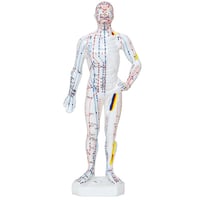 Modelo Anatómico de Corpo Humano Masculino 26 cm: 361 pontos de acupuntura e 80 pontos curiosos