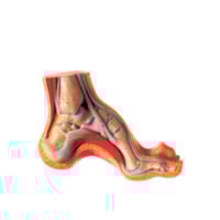 Pé exposição cavo