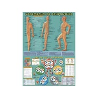 Vademecum de Acupuntura 50 x 70cm