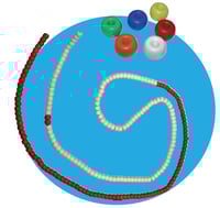 Corchera aquática Roma (Donut) com corda e mosquetón (25 metros)