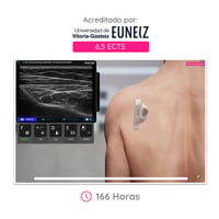 CAMPUS WAZO: Curso On-line de Musculoesquelética. Certificado universitário oficial emitido pela Universidade de Vitoria-Gasteiz (EUNEIZ)