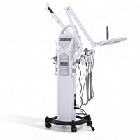 Equipa multifuncional estética Entir profissional: Torre multifunción digital de uso profissional 9 em 1, imprescindível em tratamentos de estética