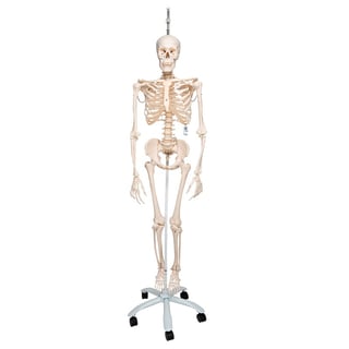 Vogatore BH Fitness I.Thames Bluetooth