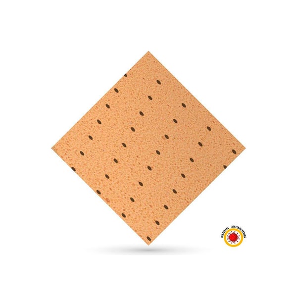 Evastar antibacteriano: eficiente contra bactérias Escherichia  Coli e Staphylococcus Aureus (90 x 100 cm)