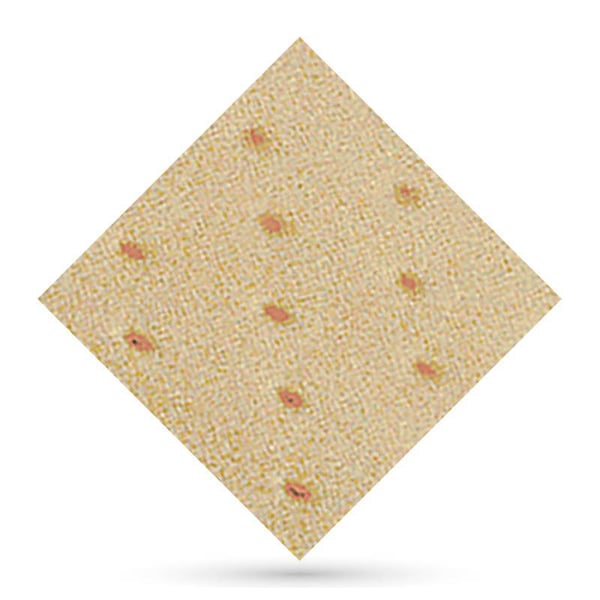 Herbiform Perfurado Carne 1 x 1 mts  1,5mm