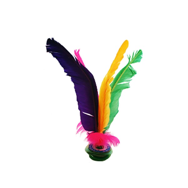 Indiaka futebol pluma