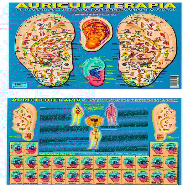 Lâmina Auriculoterapia o poder curativo dos reflexos da orelha