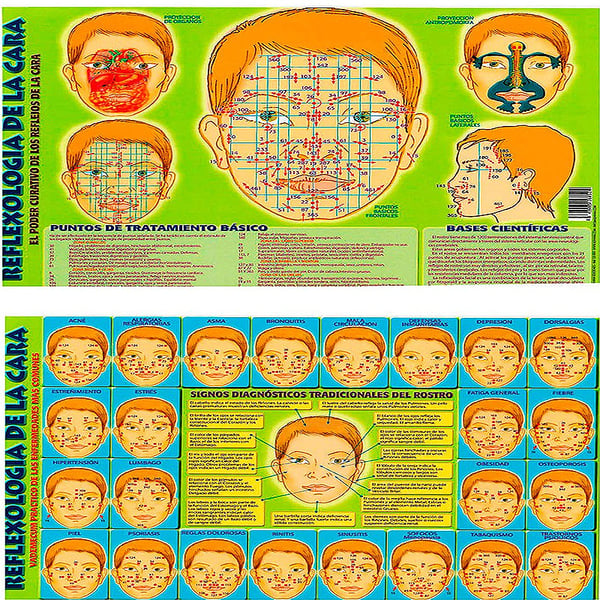 Lâmina Reflexología da cara A4