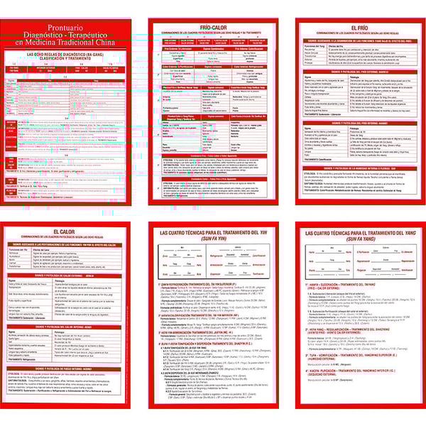 Prontuario Diagnóstico - Terapêutico em MTC