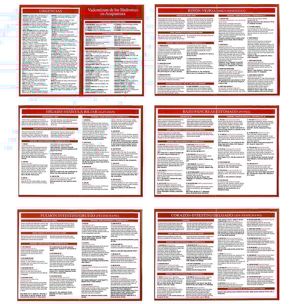 Vademecum das síndromes em acupuntura