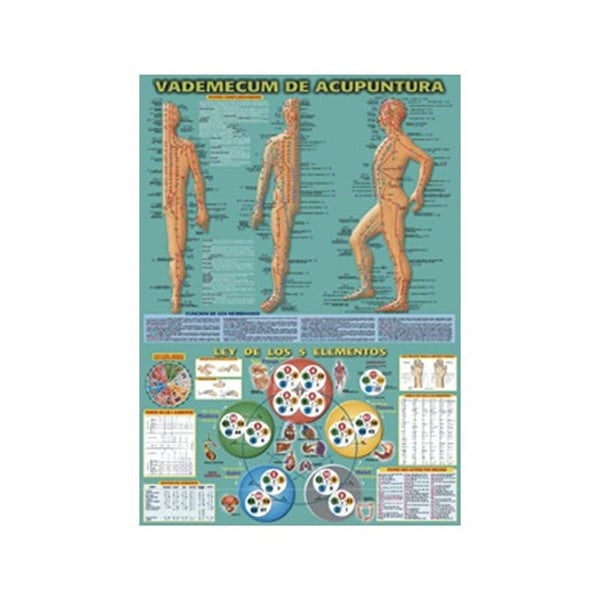 Vademecum de Acupuntura 50 x 70cm