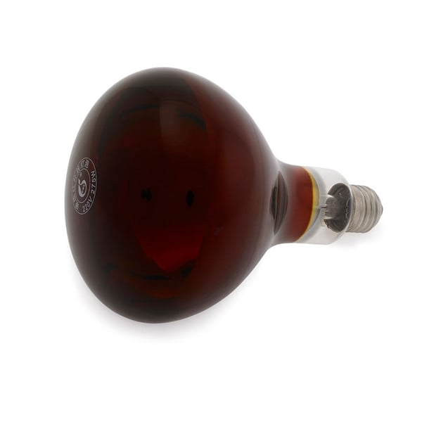 Lâmpada de Infravermelho 275w - 220v