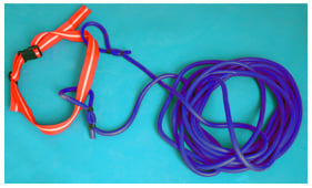 Cinto de resistência para natação New 10m. Densidade Ligeira