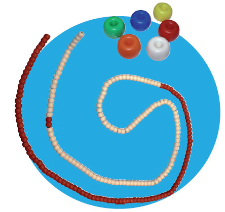 Corchera aquática Roma (Donut) com corda e mosquetón (25 metros)