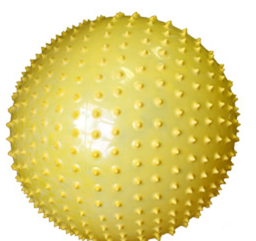 Pelota de Massagem com petiscos 65 cm