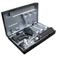 Estuche ORL Riester Vet de luxe I, para animais maiores XL/HL 2,5 V, Cabo C Estuche ORL Riester Vet de luxe I, para animais maiores XL/HL 2,5 V, Cabo C