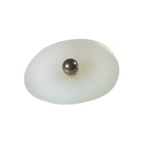 Bolinhas para auriculoterapia metálicas com adesivo transparente (300 unidades) Bolinhas para auriculoterapia metálicas com adesivo transparente (300 unidades)