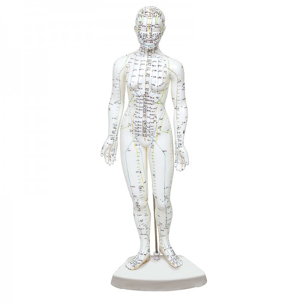 Modelo de corpo humano feminino 46 cm: 361 pontos de acupuntura e 80 pontos curiosos