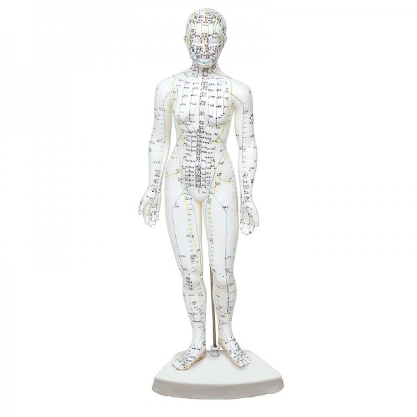 Modelo de corpo humano feminino 46 cm: 361 pontos de acupuntura e 80 pontos curiosos Modelo de corpo humano feminino 46 cm: 361 pontos de acupuntura e 80 pontos curiosos