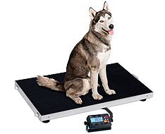 Balanças Veterinária Balanças Veterinária