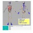 Osteodiagnostic: Software dirigido a Osteópatas e Fisioterapeutas Osteodiagnostic: Software dirigido a Osteópatas e Fisioterapeutas