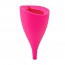 Taça menstrual Lily Cup A e B INTIMINA: Enrola-se tão fina como um tampón (Várias medidas) Taça menstrual Lily Cup A e B INTIMINA: Enrola-se tão fina como um tampón (Várias medidas)