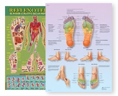 Lâminas de pontos de tratamento chinês Lâminas de pontos de tratamento chinês