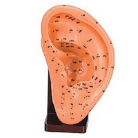Orelha Esquerda de Borracha Macio 17 cm Orelha Esquerda de Borracha Macio 17 cm