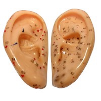 Orelhas de borracha macio 8cm (Par) Orelhas de borracha macio 8cm (Par)