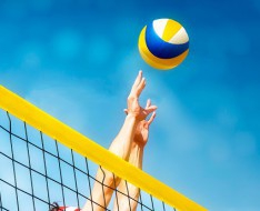 Material de Voleibol Material de Voleibol